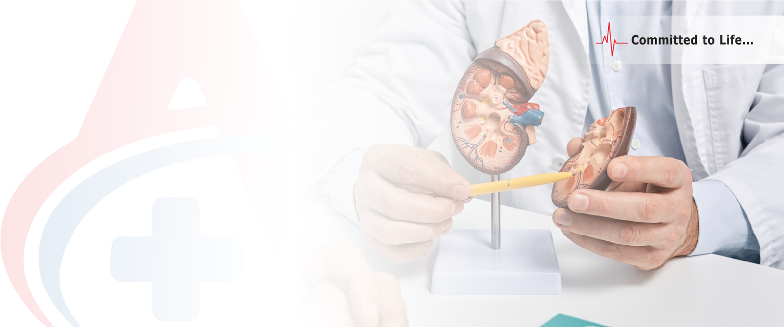 Kidney Transplant